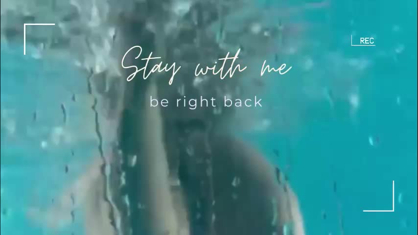 lily_foster_ Приват Записи 2026-03-04