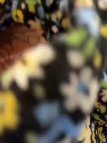 MiraReach Приват Записи 2026-03-05