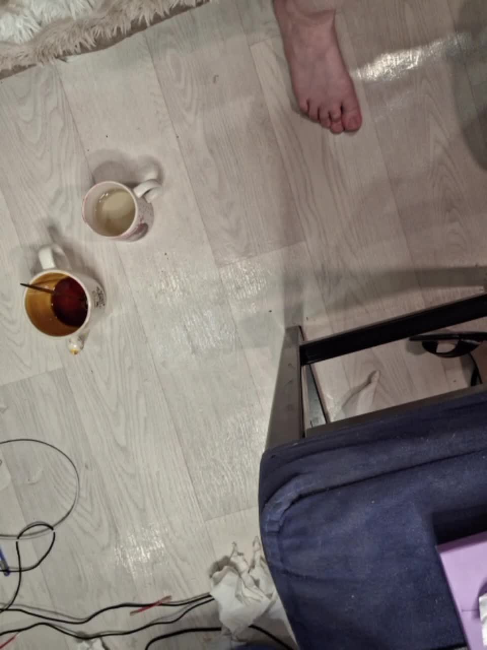 -scyrim- Приват Записи 2026-03-05