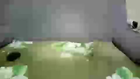 Arsinoe Приват Записи 2026-03-07