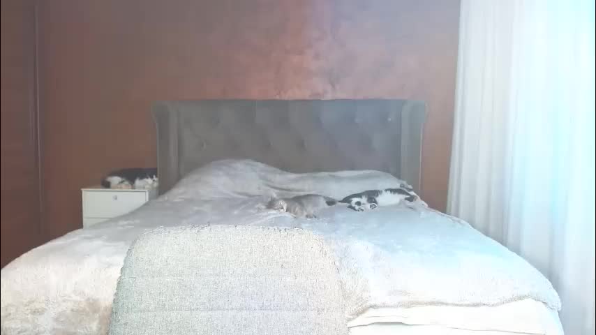 mishakiss34 Приват Записи 2026-03-07