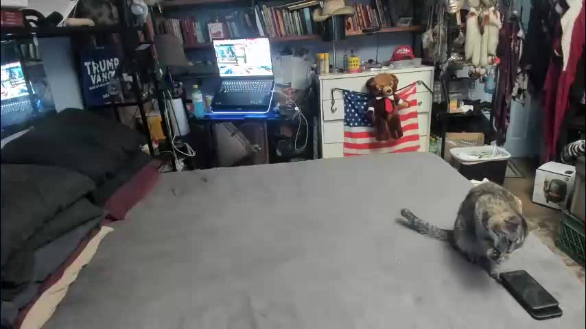 pink_black Приват Записи 2026-03-08