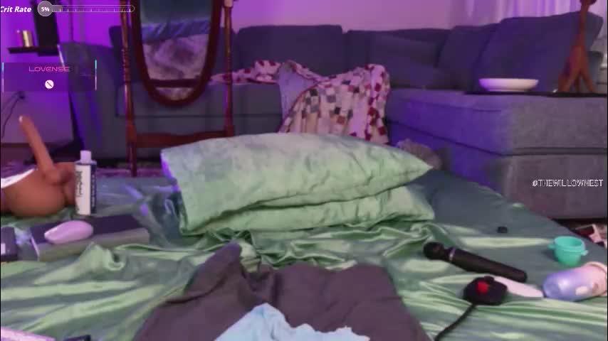 thewillownest Приват Записи 2026-03-08