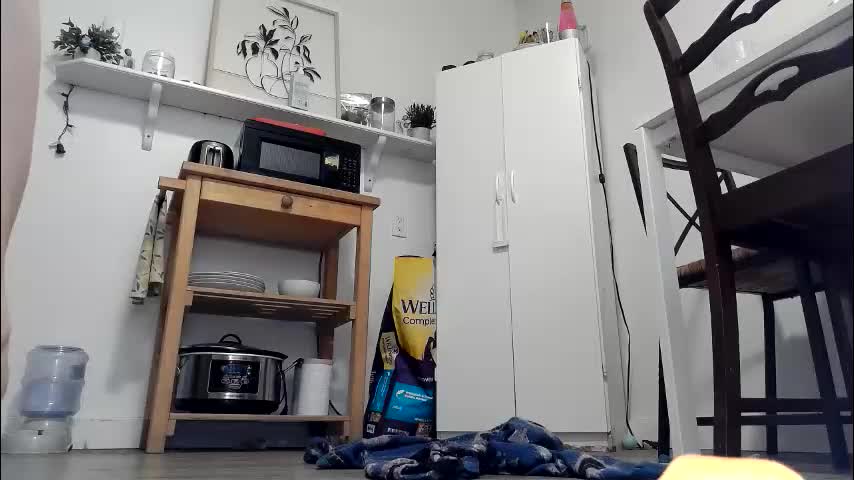 kittyymaze Приват Записи 2026-03-09