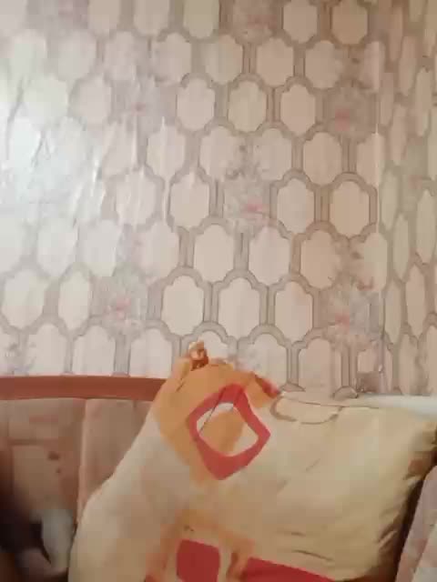 Calibriya Приват Записи 2026-03-09