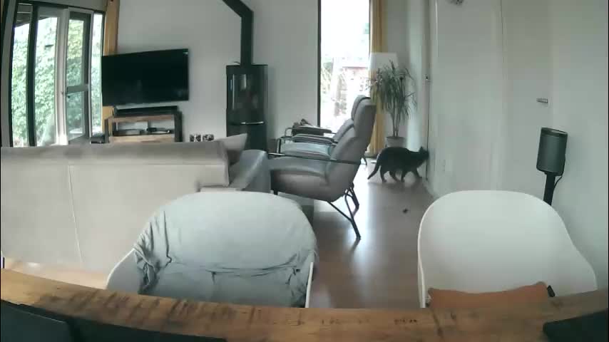 woodwurm Приват Записи 2026-03-10