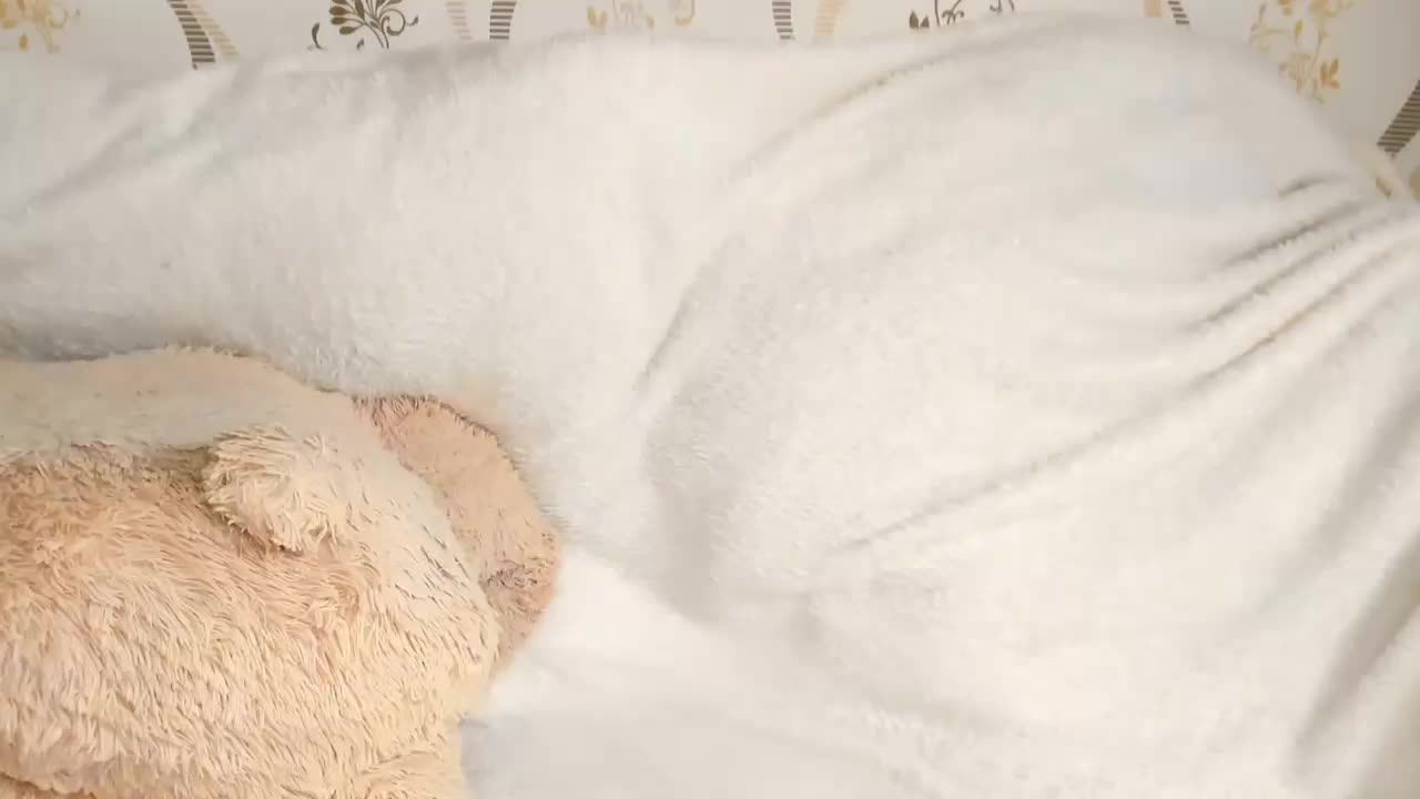 MelMooon Приват Записи 2026-03-10