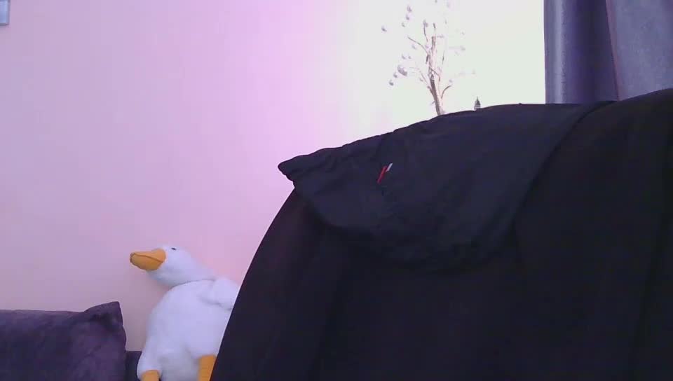 Ornotores_wers Приват Записи 2026-03-10