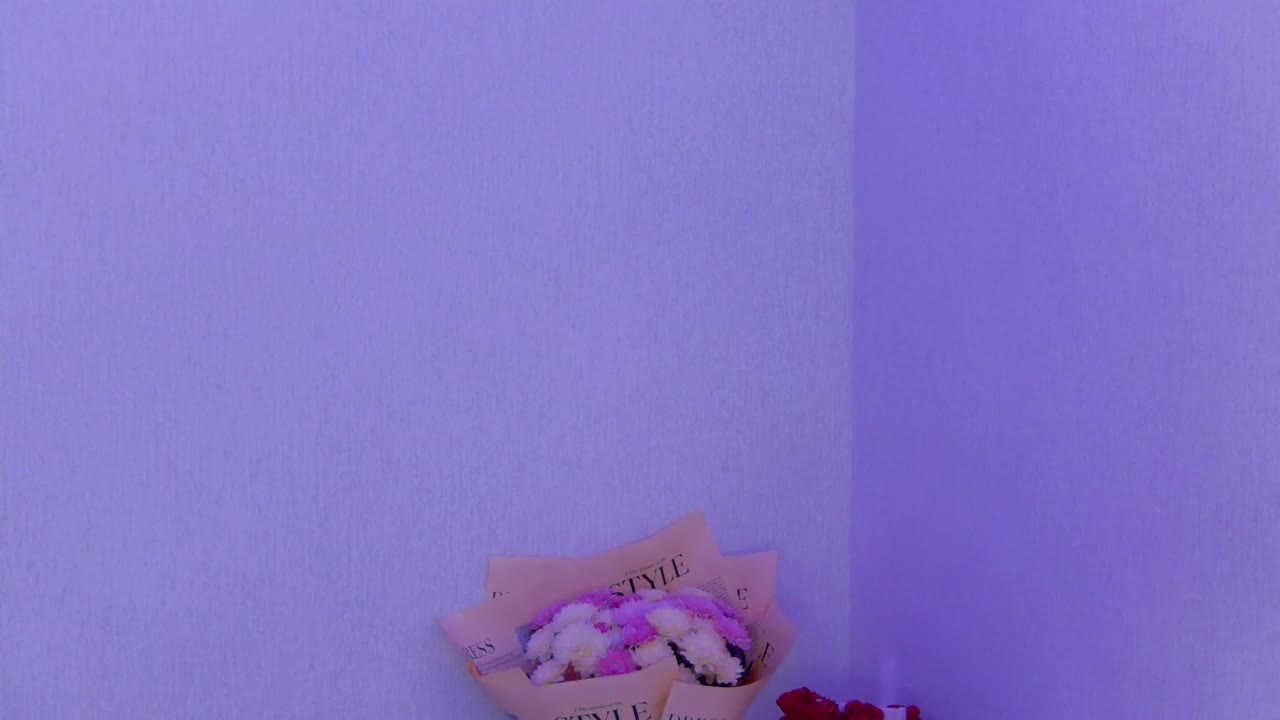 Hator Приват Записи 2026-03-10