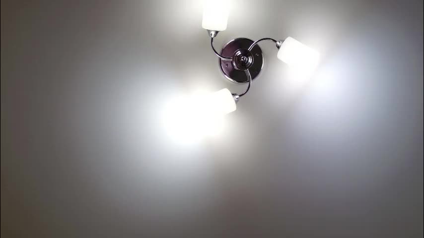 red_fox777 Приват Записи 2026-03-11