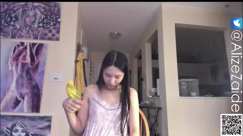 alizezaide Приват Записи 2026-03-11