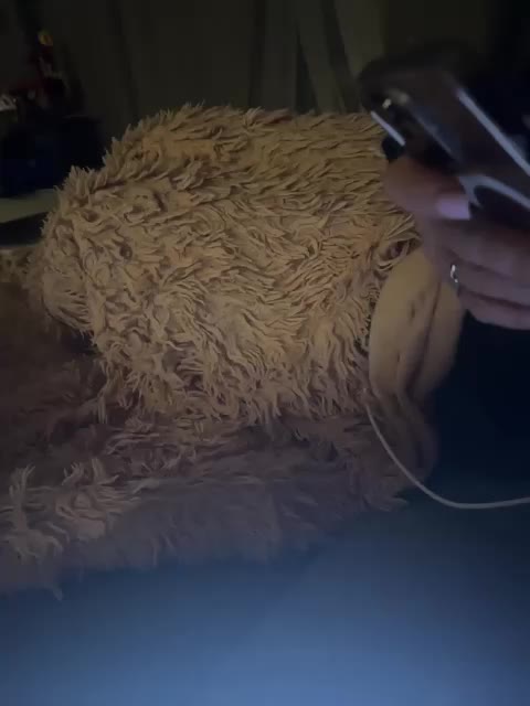 ParraTigroff Приват Записи 2026-03-11