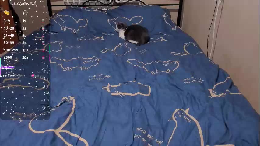 eva_zero Приват Записи 2026-03-11