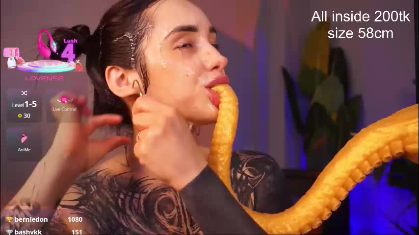 evarabbit Приват Записи 2026-03-11