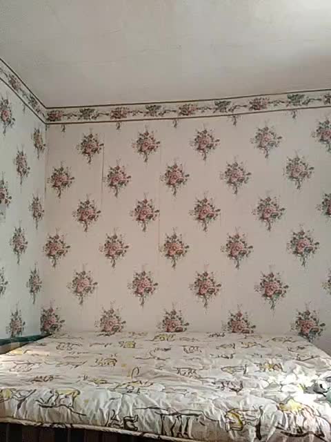 Alisa-33 Приват Записи 2026-03-11