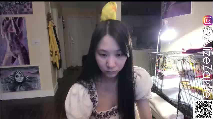 alizezaide Приват Записи 2026-03-12