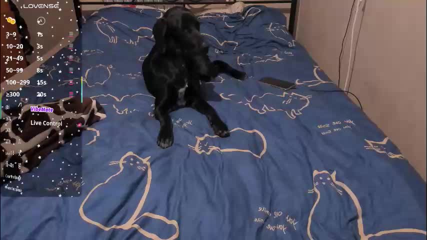 eva_zero Приват Записи 2026-03-12