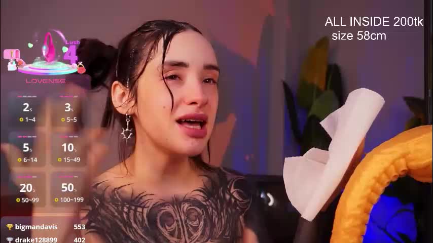 evarabbit Приват Записи 2026-03-12