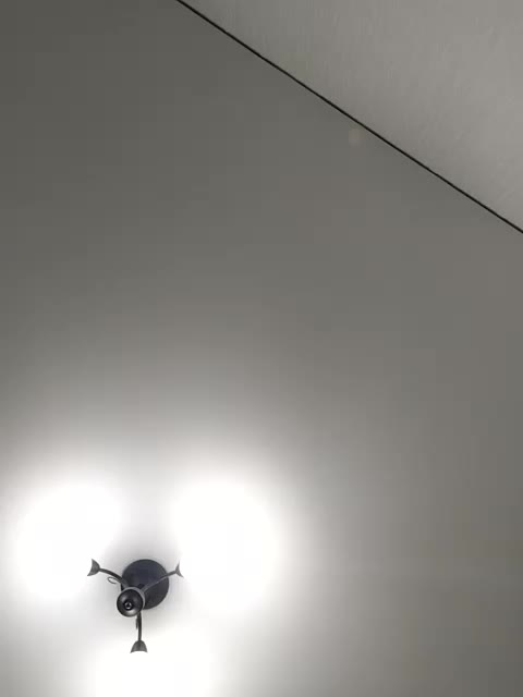 LillyJosepha Приват Записи 2026-03-13