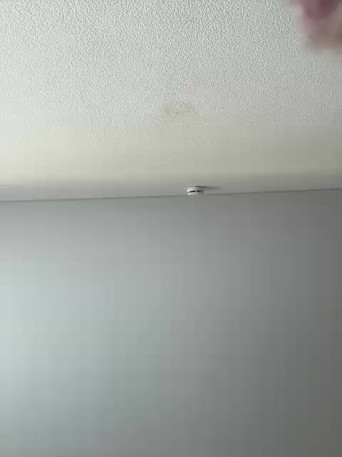 NotBellucci Приват Записи 2026-03-13