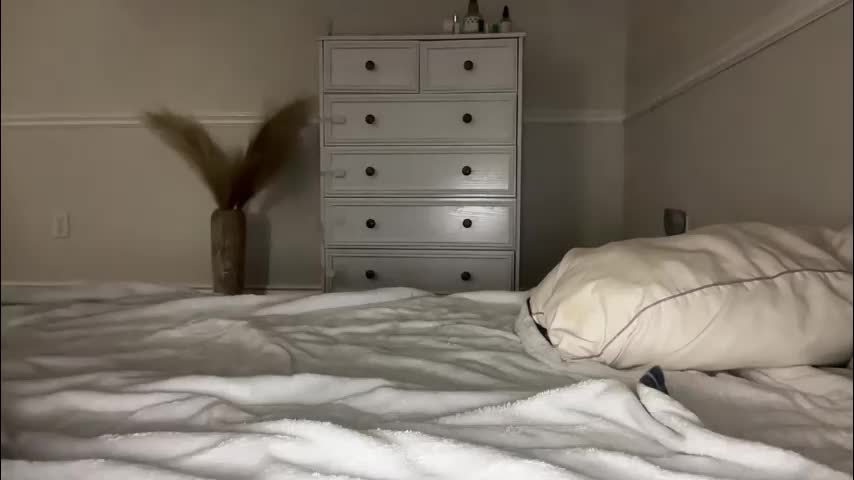 baristachicka28 Приват Записи 2026-03-13