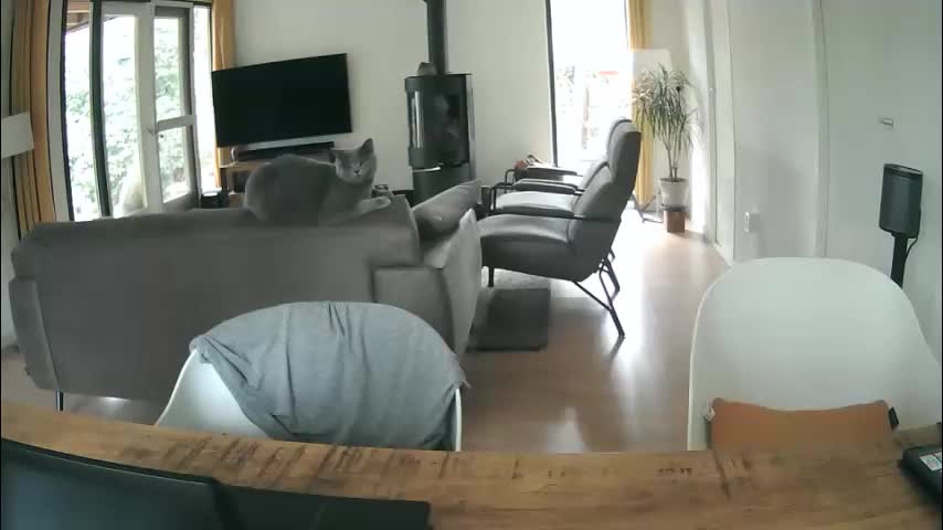 woodwurm Приват Записи 2026-03-13