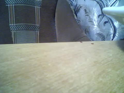 Luminara Приват Записи 2026-03-14