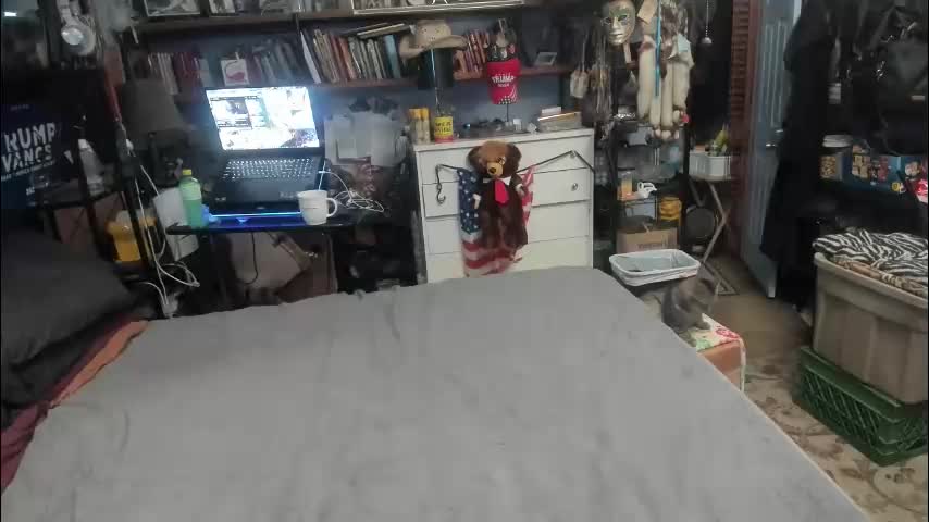 pink_black Приват Записи 2026-03-14