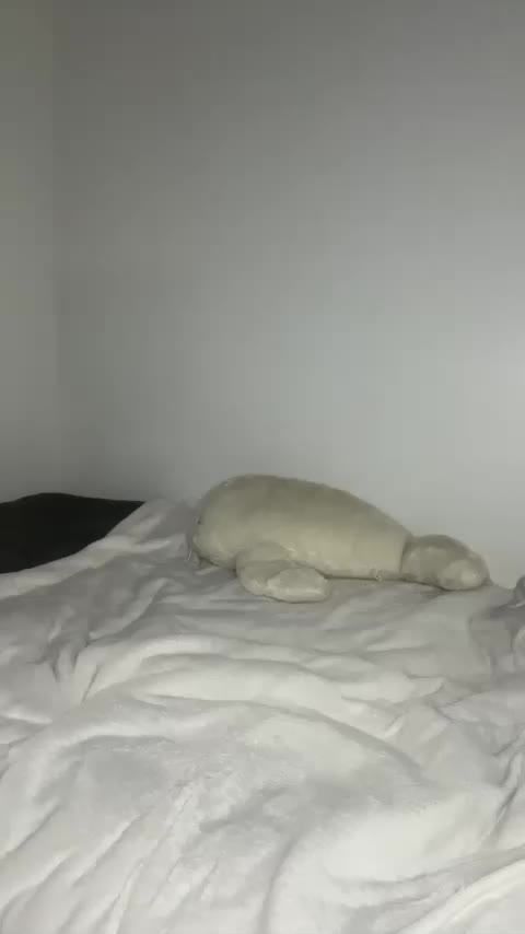 VanessaVenom Приват Записи 2026-03-16