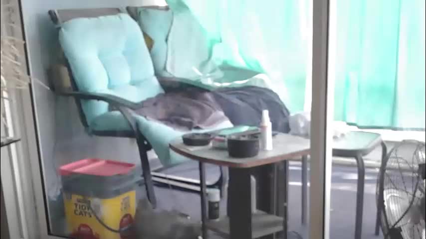 smallpenisbigtongue Приват Записи 2026-03-16