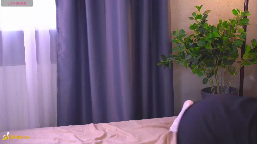 bellacle Приват Записи 2026-03-16