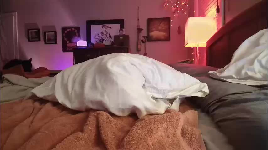 catnips_cabaret Приват Записи 2026-03-16