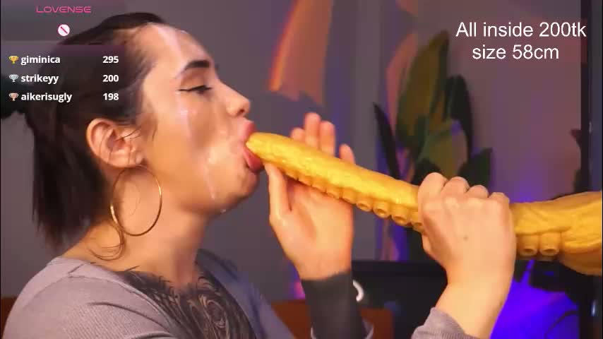 evarabbit Приват Записи 2026-03-16