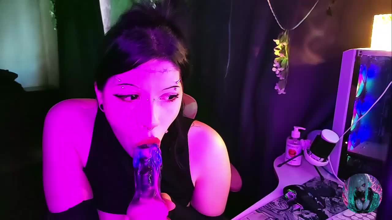 Harakassi Приват Записи 2026-03-16