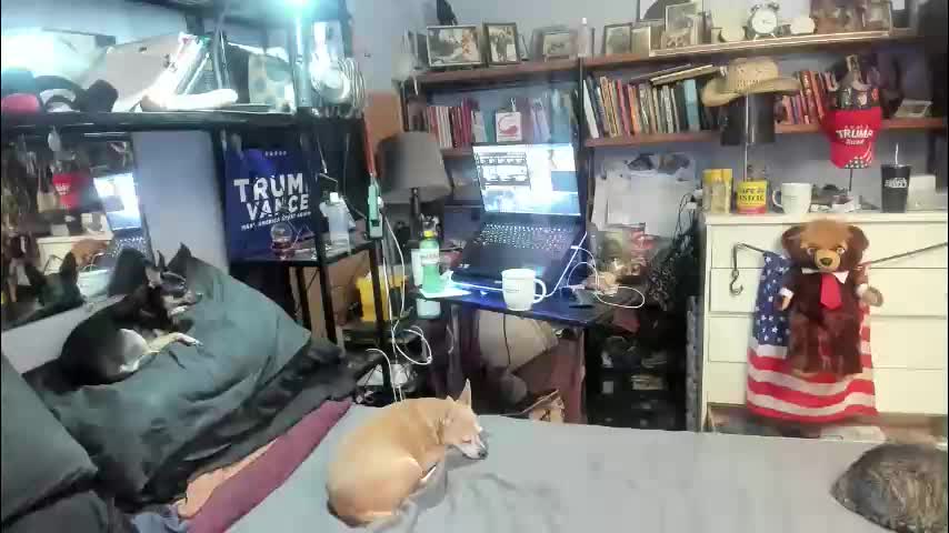 pink_black Приват Записи 2026-03-17