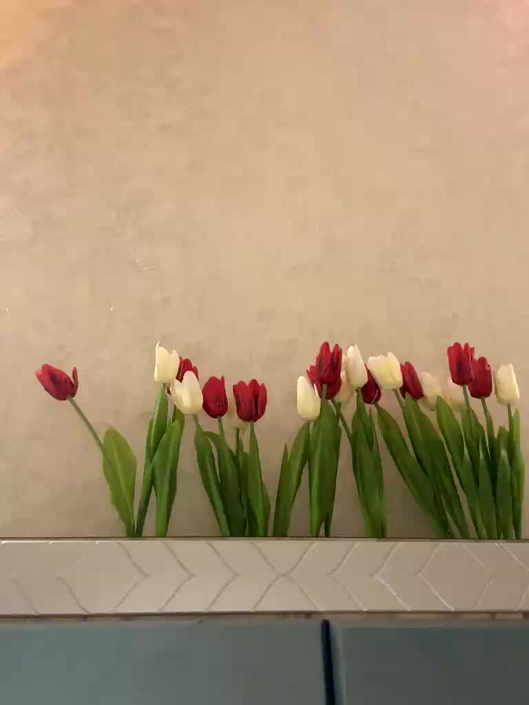 KissMec Приват Записи 2026-03-17