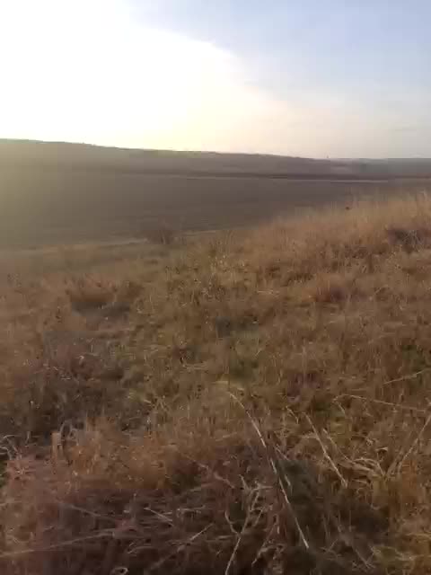 Marta24a Приват Записи 2026-03-18