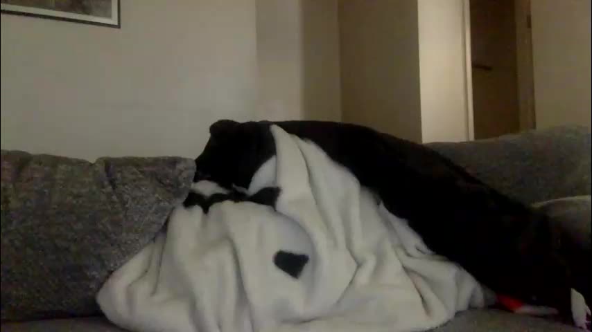 milfsfreaky69 Приват Записи 2026-03-18