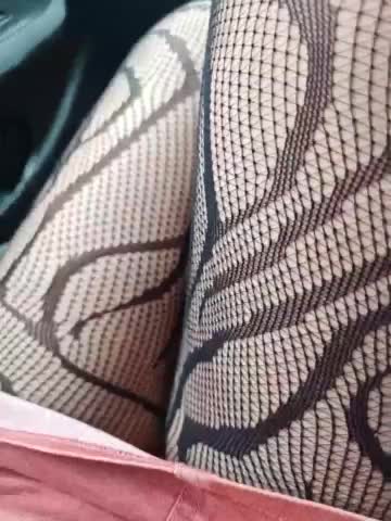 WildCatling Приват Записи 2026-03-19