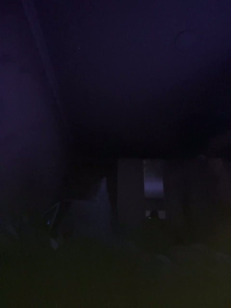 Kot-i-Koshkaa Приват Записи 2026-03-19