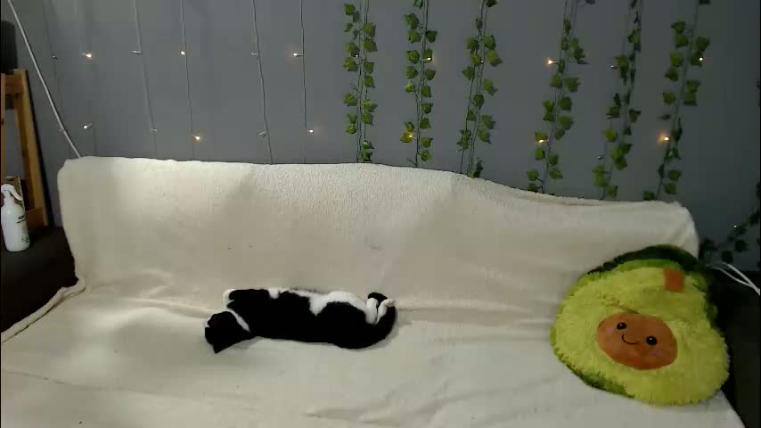 leo_and_lori Приват Записи 2026-03-19