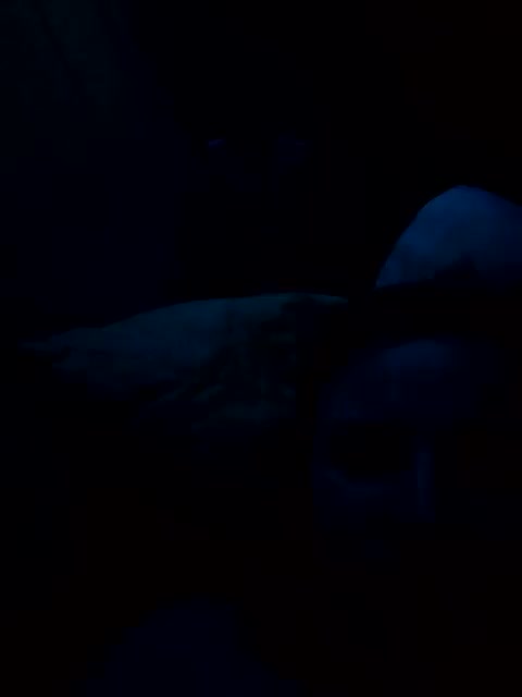 uragankatrin Приват Записи 2026-03-20