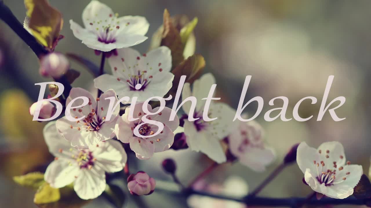 stressygirl Приват Записи 2026-03-20