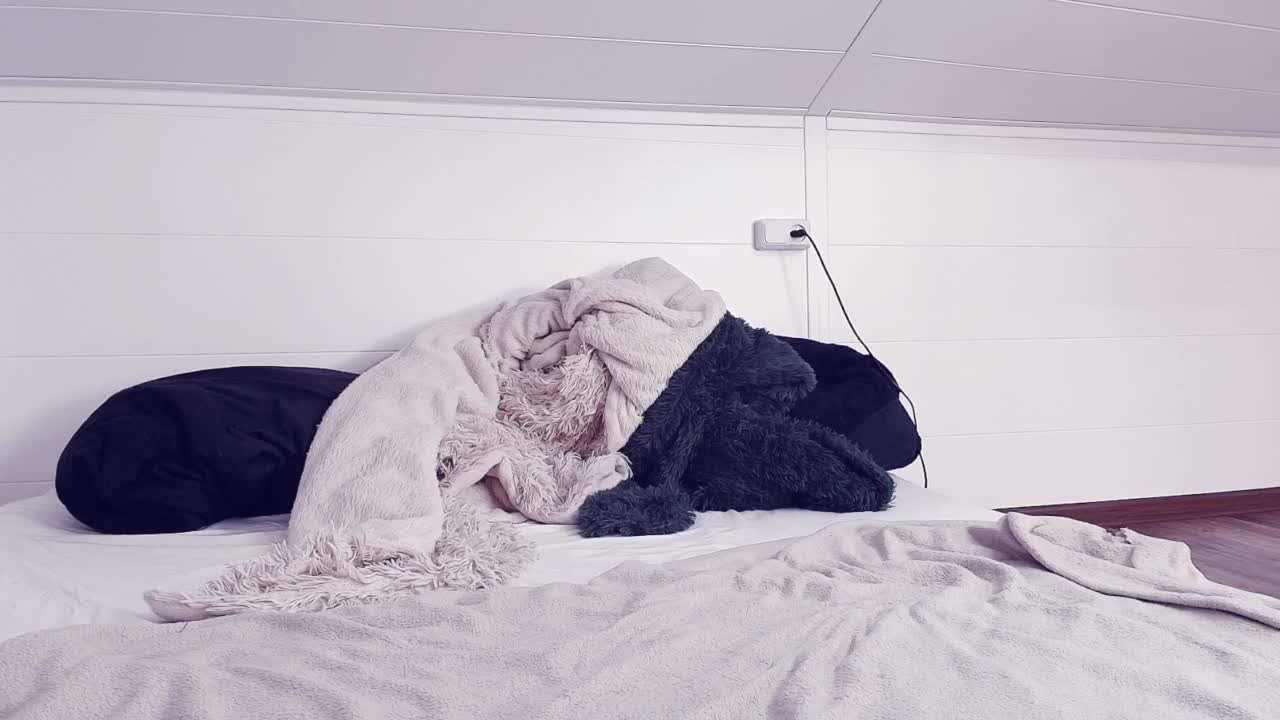 MeowRoslava Приват Записи 2026-03-20