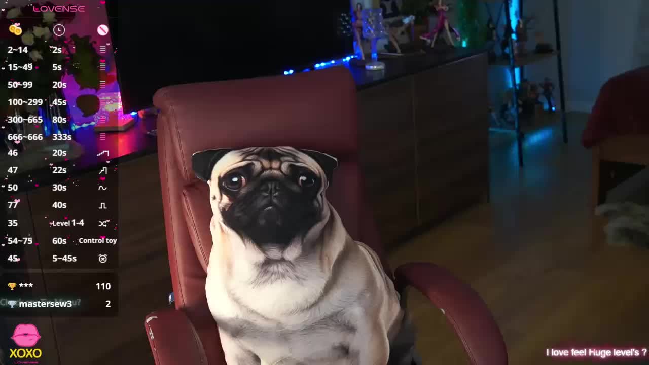 AfinaNights Приват Записи 2026-03-21