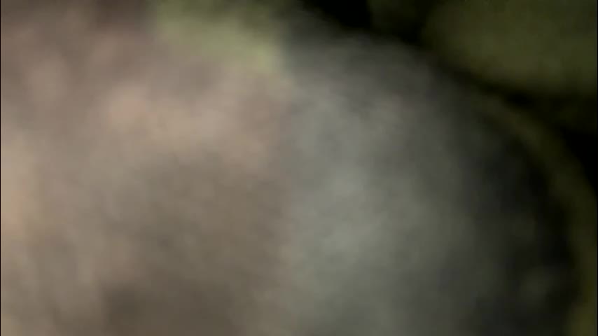 sweetnsexy95 Приват Записи 2026-03-21