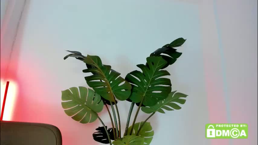 ashllovee_ Приват Записи 2026-03-21