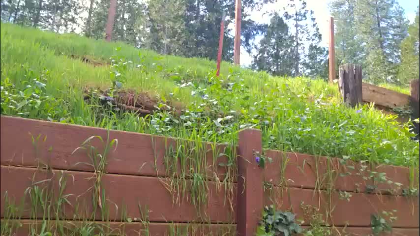 shy_college_girl Приват Записи 2026-03-22