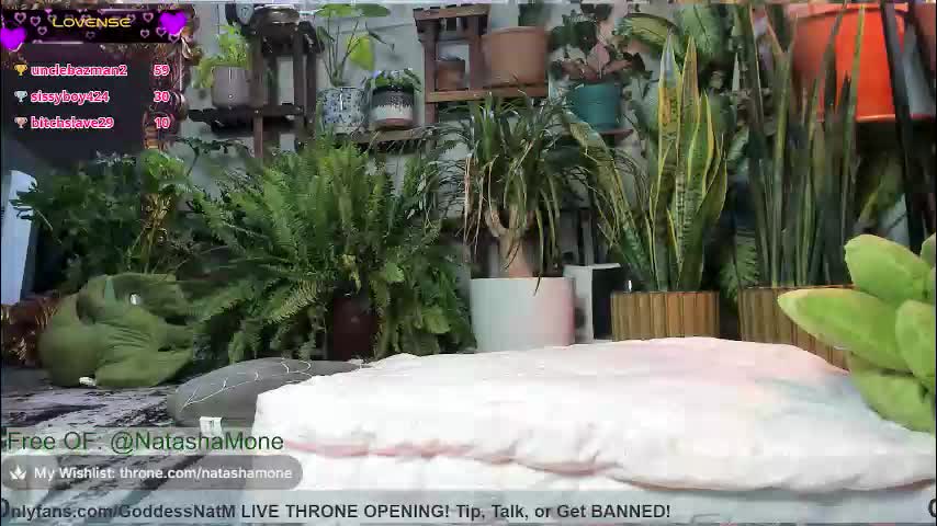 natashamone Приват Записи 2026-03-22