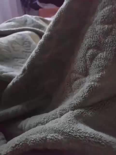 TISE Приват Записи 2026-03-23